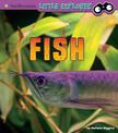 Fish: a 4D Book (Little Zoologist)