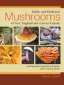 Edible and Medicinal Mushrooms of New England and Eastern Canada: A Photographic Guidebook to Finding and Using Key Species