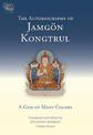 The Autobiography Of Jamgon Kongtrul: A Gem Of Many Colors