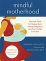 Mindful Motherhood: Practical Tools for Staying Sane During Pregnancy and Your Child's First Year: Practical Tools for Staying S