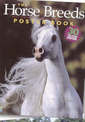 Horse Breeds Poster Book