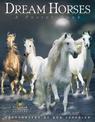 Dream Horse a Poster Book