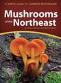 Mushrooms of the Northeast: A Simple Guide to Common Mushrooms