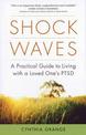 Shock Waves