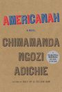 Americanah (Large Print)