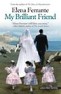 My Brilliant Friend (Large Print)