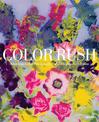 Color Rush: American Color Photography from Stieglitz to Sherman