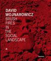 David Wojnarowicz: Brush Fires in the Social Landscape