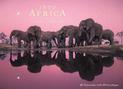 Into Africa: Blank Boxed Notecards