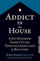 Addict in the House: A No-Nonsense Family Guide Through Addiction and Recovery