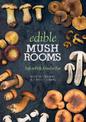 Edible Mushrooms: Safe to Pick, Good to Eat