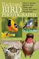 Backyard Bird Photography: How to Attract Birds to Your Home and Create Beautiful Photographs