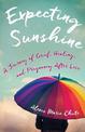 Expecting Sunshine: A Journey of Grief, Healing, and Pregnancy after Loss, 1st edition