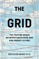 The Grid: The Fraying Wires Between Americans and Our Energy Future