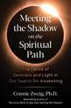 Meeting the Shadow on the Spiritual Path: The Dance of Darkness and Light in Our Search for Awakening