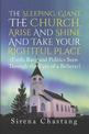 The Sleeping, Giant the Church, Arise and Shine and Take Your Rightful Place: (Faith, Race and Politics Seen Through the Eyes of