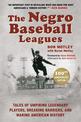 The Negro Baseball Leagues: Tales of Umpiring Legendary Players, Breaking Barriers, and Making American History