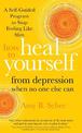 How to Heal Yourself from Depression When No One Else Can: A Self-Guided Program to Stop Feeling Like Sh*t