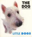 Dog: Little Dogs