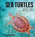 Sea Turtles: On the Edge