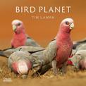 Bird Planet