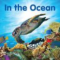 In the Ocean: Board book