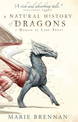 A Natural History of Dragons: A Memoir by Lady Trent