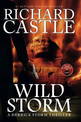 Wild Storm (a Derrick Storm Thriller)