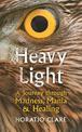 Heavy Light: A Journey Through Madness, Mania and Healing