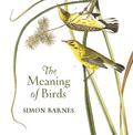 The Meaning of Birds