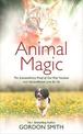 Animal Magic: The Extraordinary Proof of Our Pets' Intuition and Unconditional Love for Us