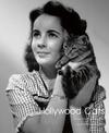 Hollywood Cats: Photographs From the John Kobal Foundation