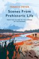 Scenes from Prehistoric Life: One Million Years of Life in the British Isles