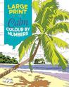 Large Print Calm Colour by Numbers