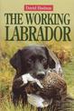 The Working Labrador