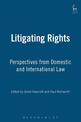 Litigating Rights: Perspectives from Domestic and International Law