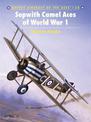 Sopwith Camel Aces of World War 1