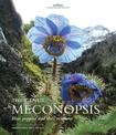 Genus Meconopsis, The: Blue poppies and their relatives