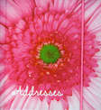 Pink Address Book