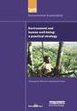 Environment and Human Well-being: A Practical Strategy