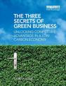 The Three Secrets of Green Business: Unlocking Competitive Advantage in a Low Carbon Economy