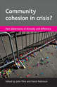 Community cohesion in crisis?: New dimensions of diversity and difference