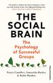 The Social Brain: The Psychology of Successful Groups