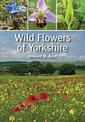 Wild Flowers of Yorkshire