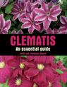 Clematis: An Essential Guide