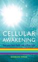 Cellular Awakening: How Your Body Holds and Creates Light