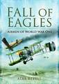 Fall of Eagles: the Evolution of Air Warfare in World War One