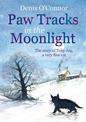 Paw Tracks in the Moonlight