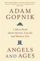 Angels and Ages: A short book about Darwin, Lincoln and modern life