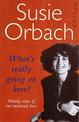 What's Really Going On Here?: Making Sense of our Emotional Lives